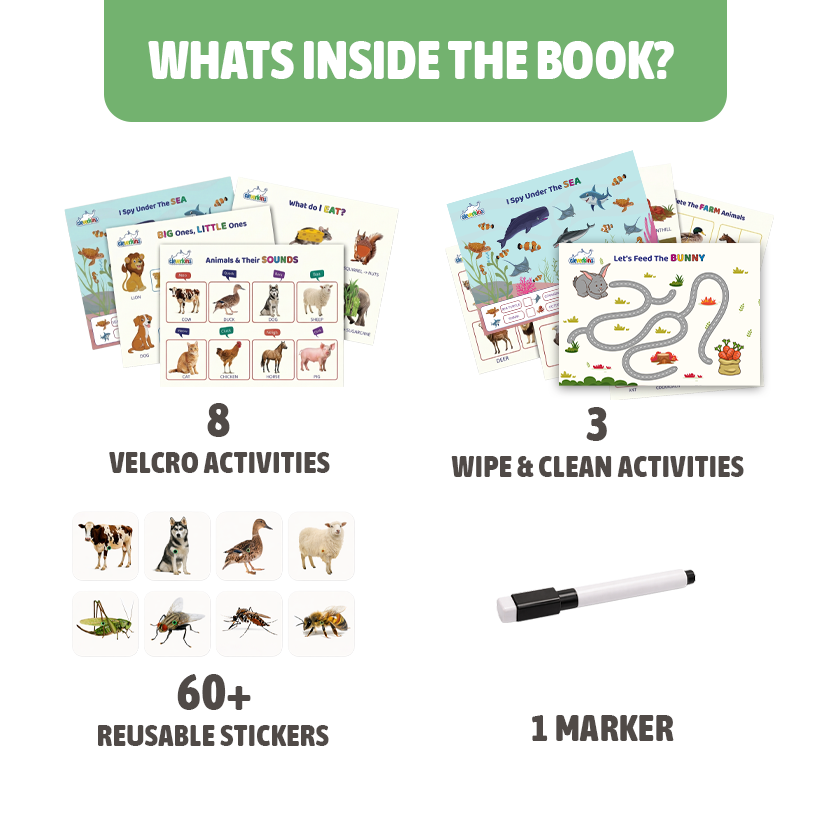 Educational book set with activities and materials on a white background