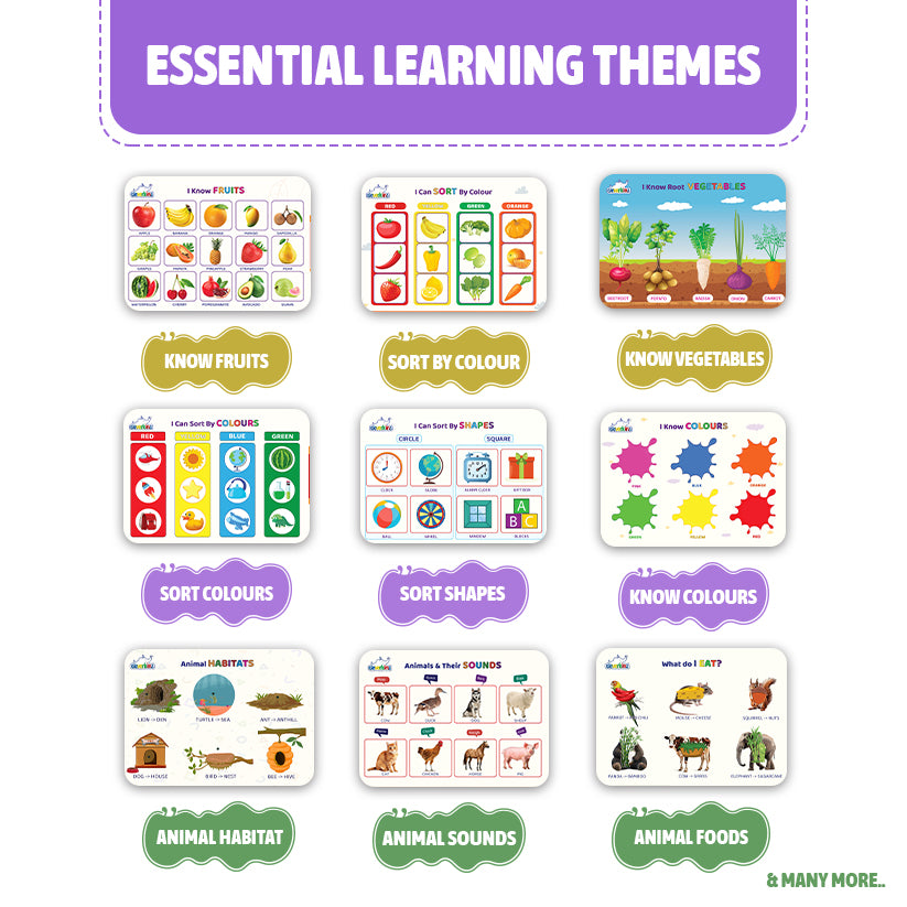 Educational flashcards with various learning themes on a white background